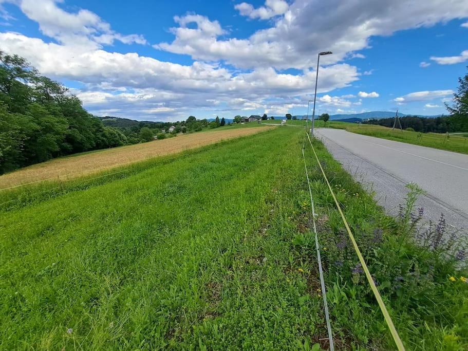 Apartamento Pod Vinogradi Skocjan  Exterior foto