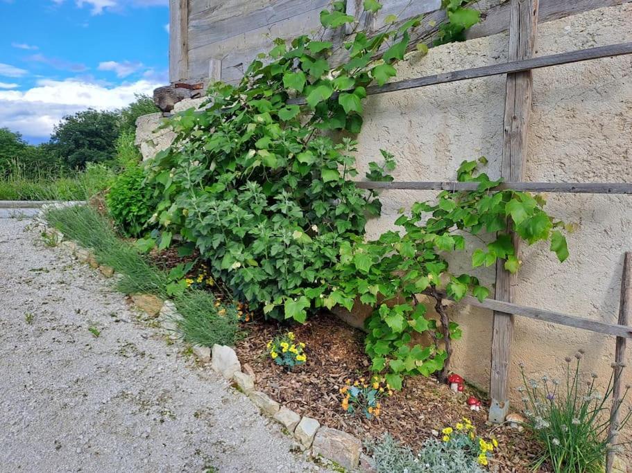 Apartamento Pod Vinogradi Skocjan  Exterior foto