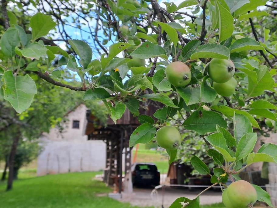 Apartamento Pod Vinogradi Skocjan  Exterior foto