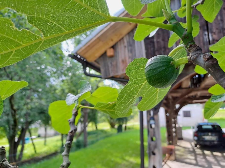 Apartamento Pod Vinogradi Skocjan  Exterior foto