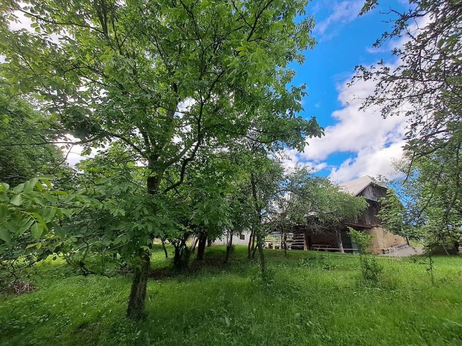 Apartamento Pod Vinogradi Skocjan  Exterior foto